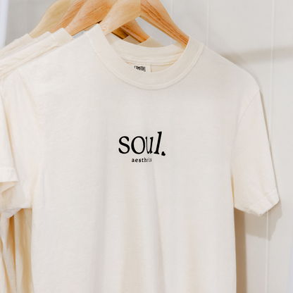 Beauty Comes from the Soul T-Shirt